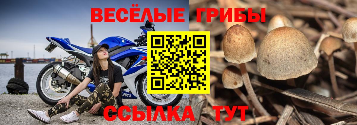 Псилоцибиновые грибы MAGIC MUSHROOMS Апрелевка